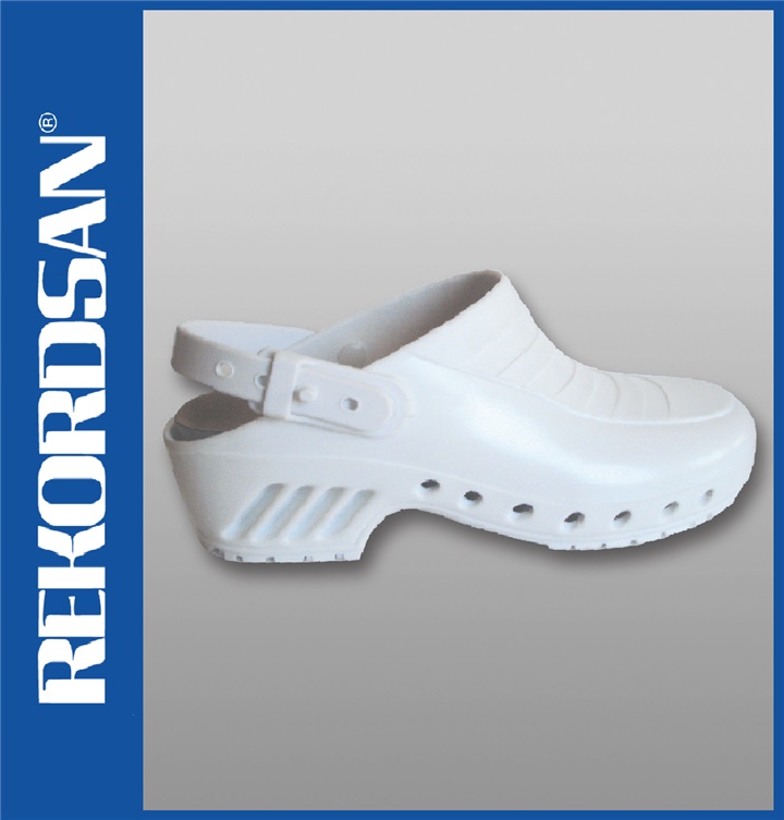 SANITARY PROFESSIONAL CLOG