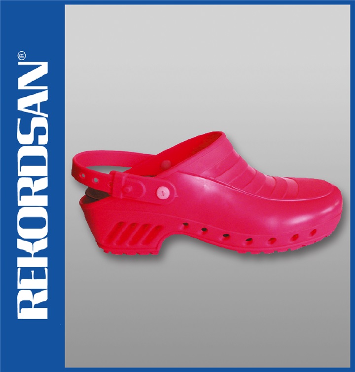 SANITARY PROFESSIONAL CLOG