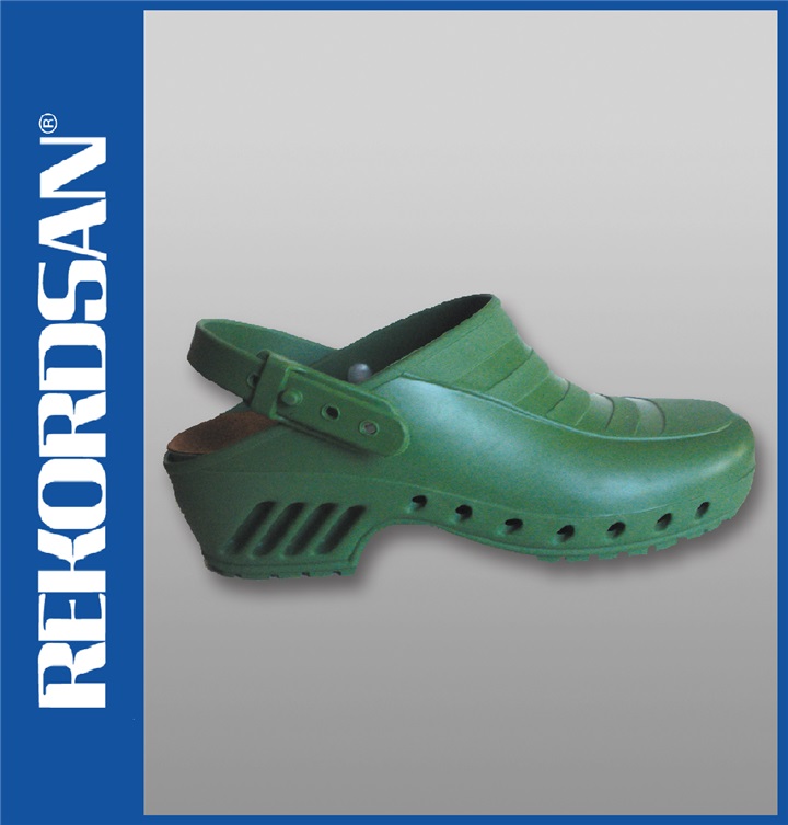 SANITARY PROFESSIONAL CLOG